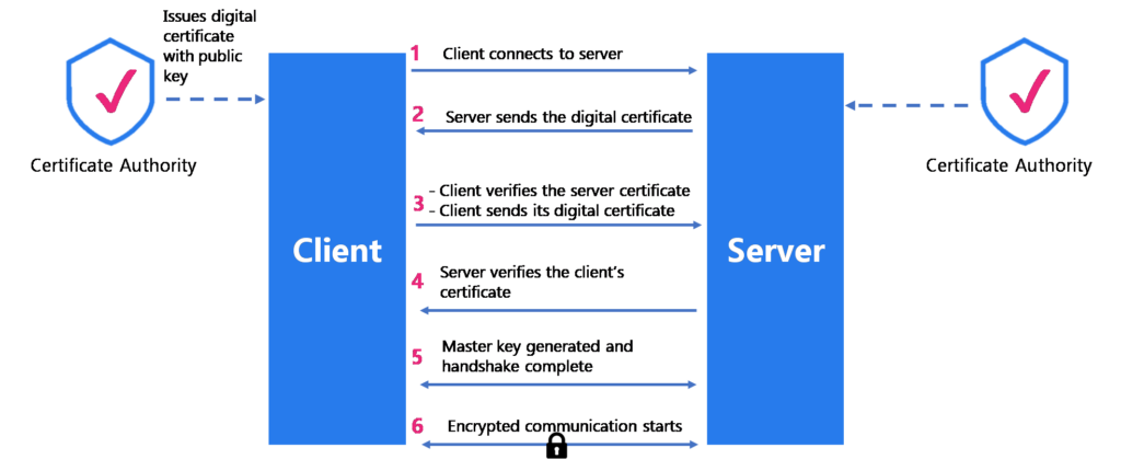Phases of mTLS between client and server