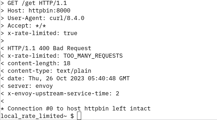 istio rate limiter respond bad request