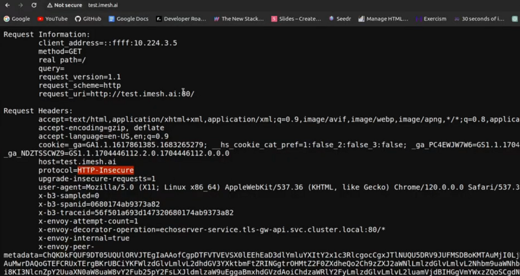 accessing the application through insecure http route