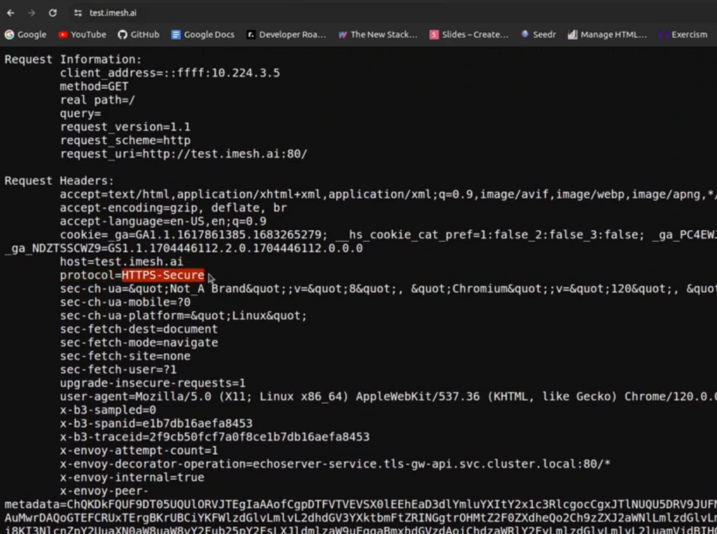 accessing the application through the secure http TLS route