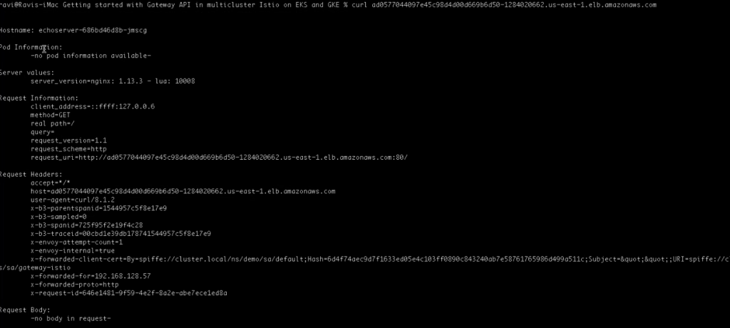 application in the remote cluster serving the request from the gateway in primary cluster