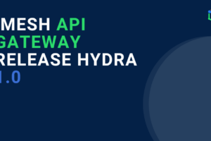 IMESH API Gateway Release Hydra 1.0