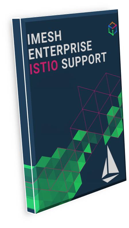 Enterprise Istio support and services